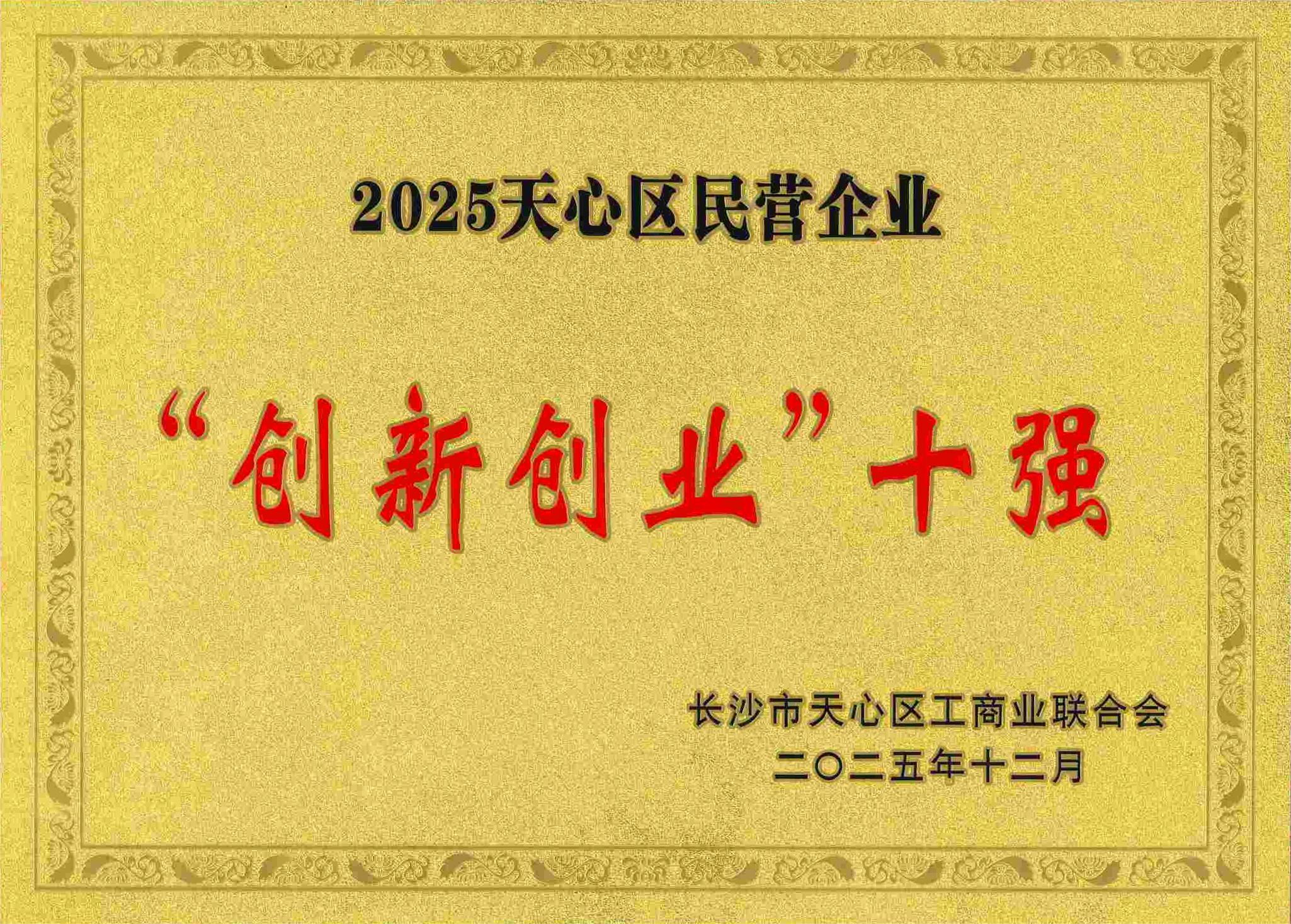2025年天心区民营企业创新创业十强